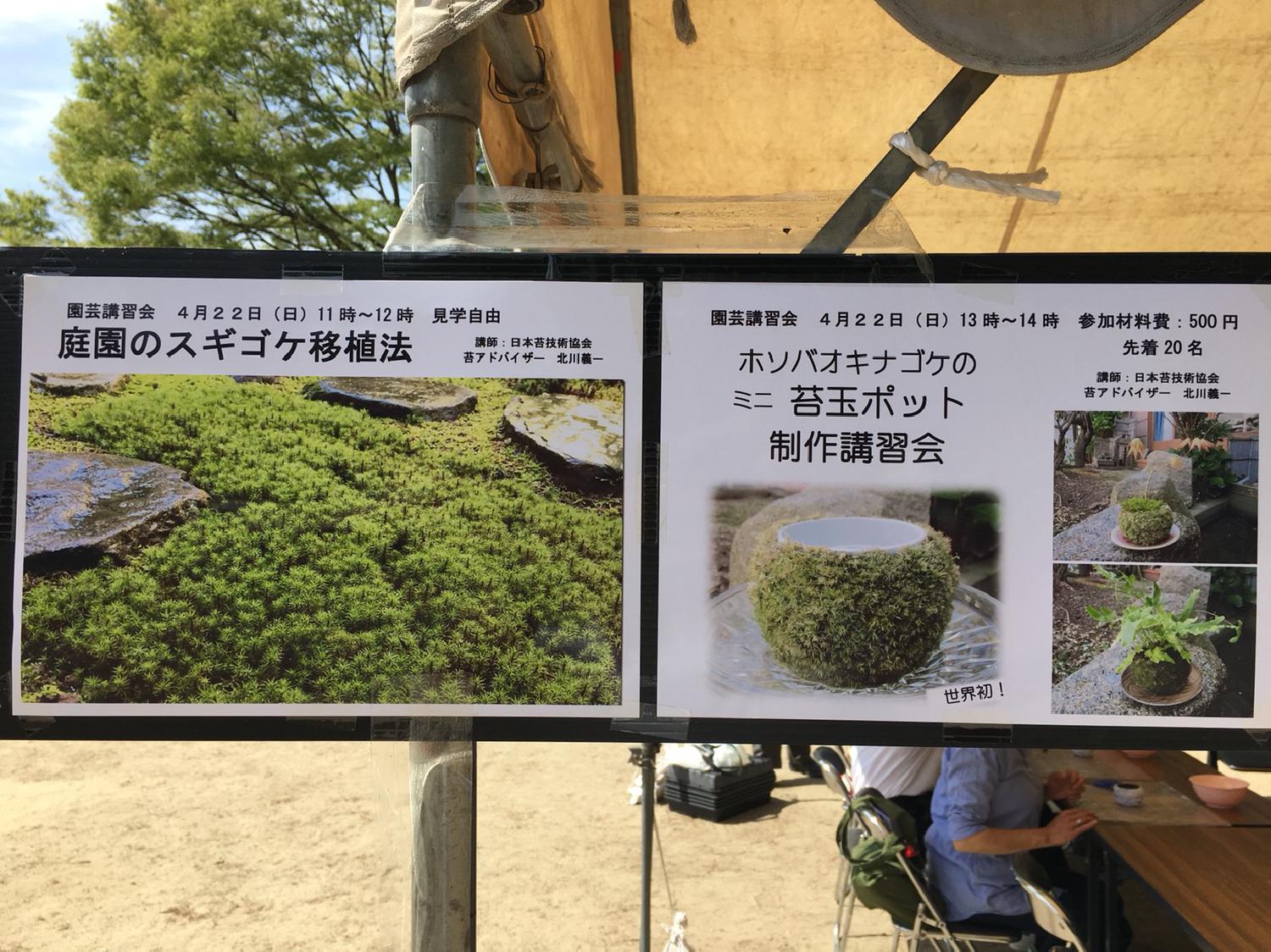 苔玉講習会 in 仙台