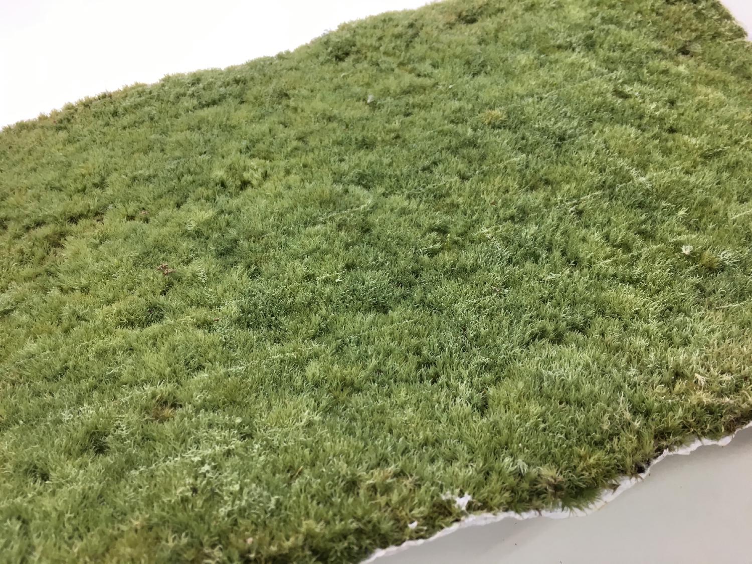 特許技術使用契約