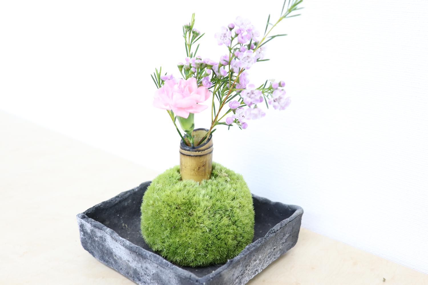 HPリニューアル！！