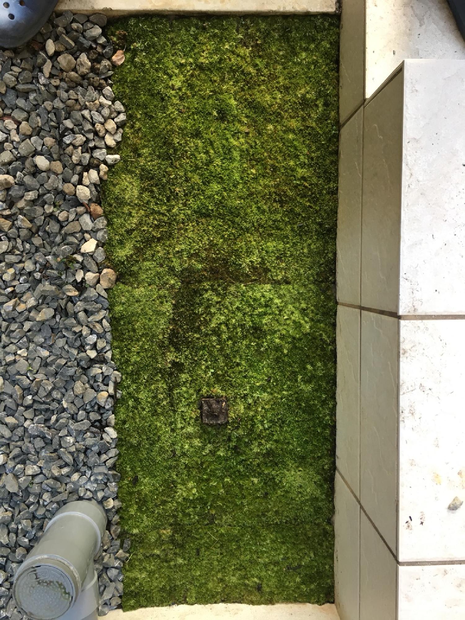 屋外使用試験の結末