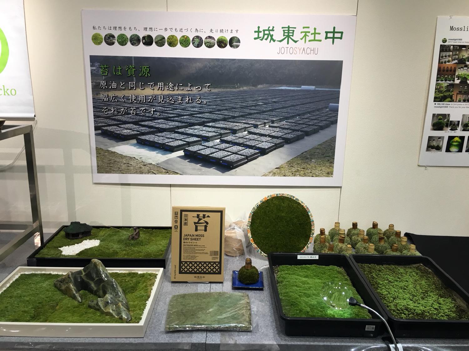 苔・こけ・コケ展