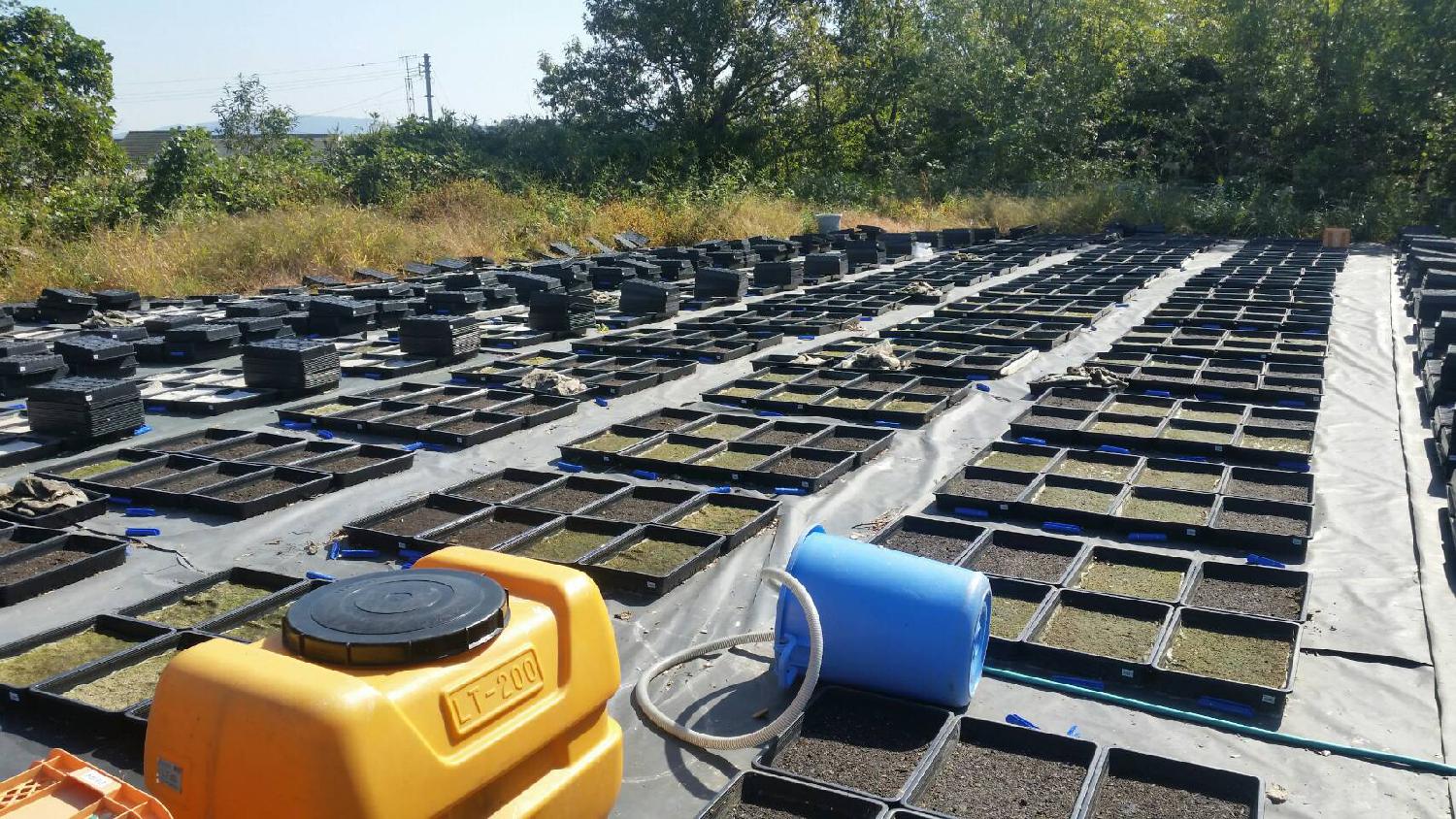 香川県圃場の状況　1