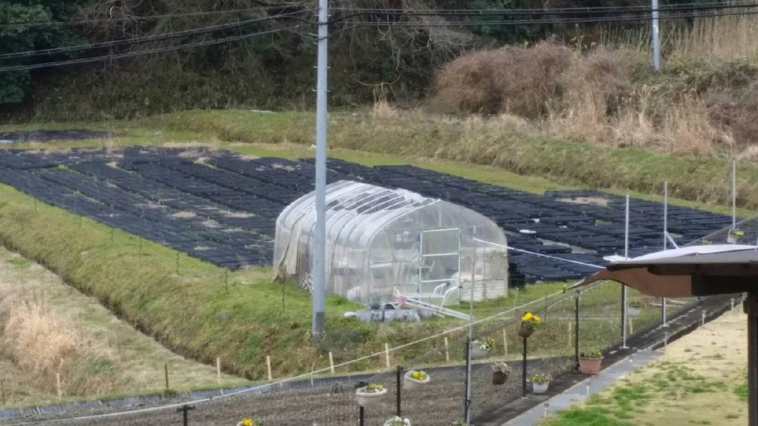 「つながり」を「ひろがり」に