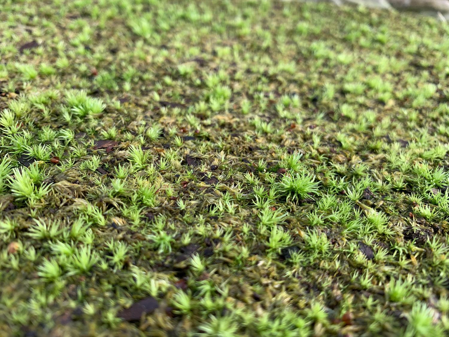 久しぶり過ぎて…