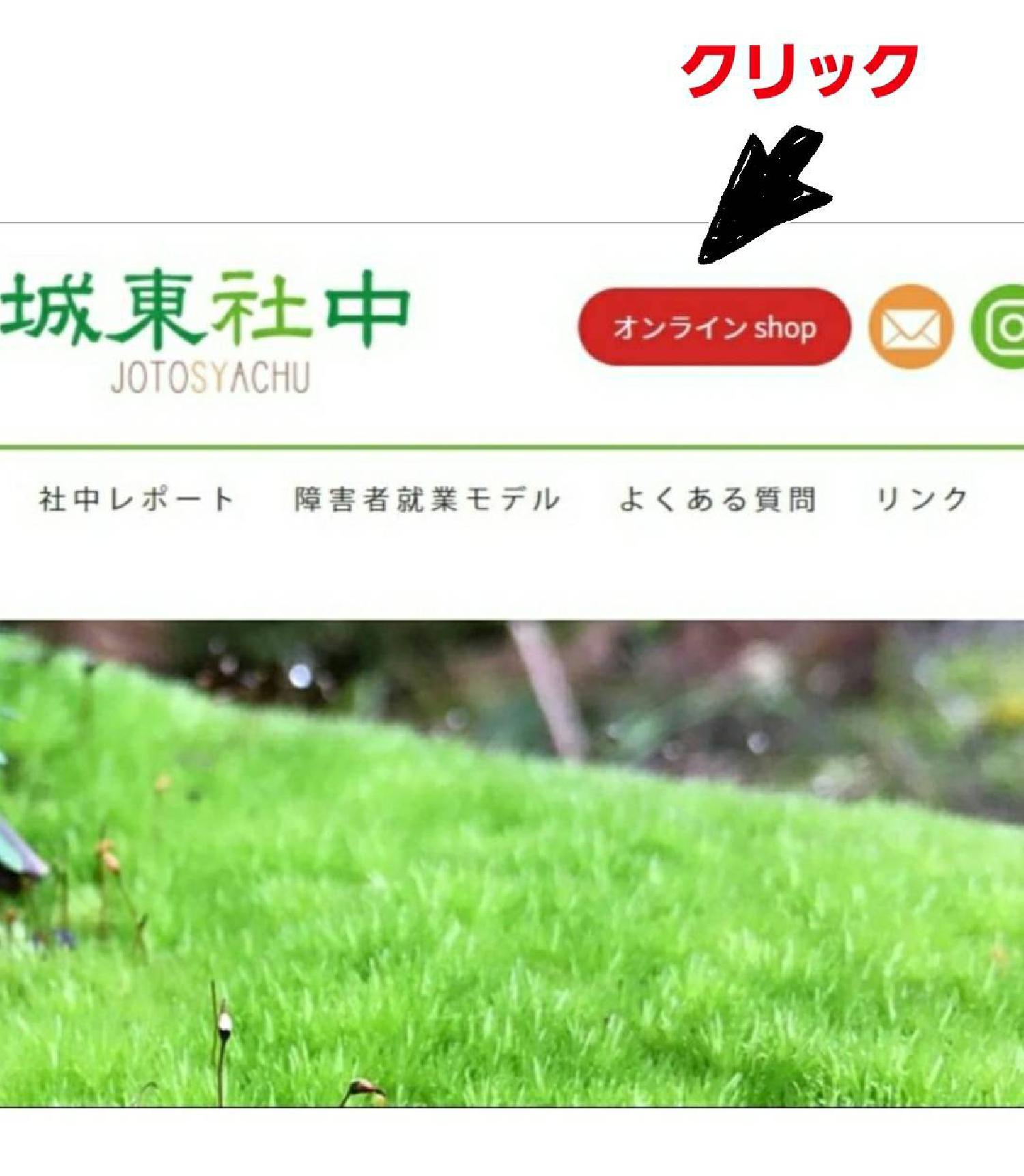 苔の小売り販売の開始！！