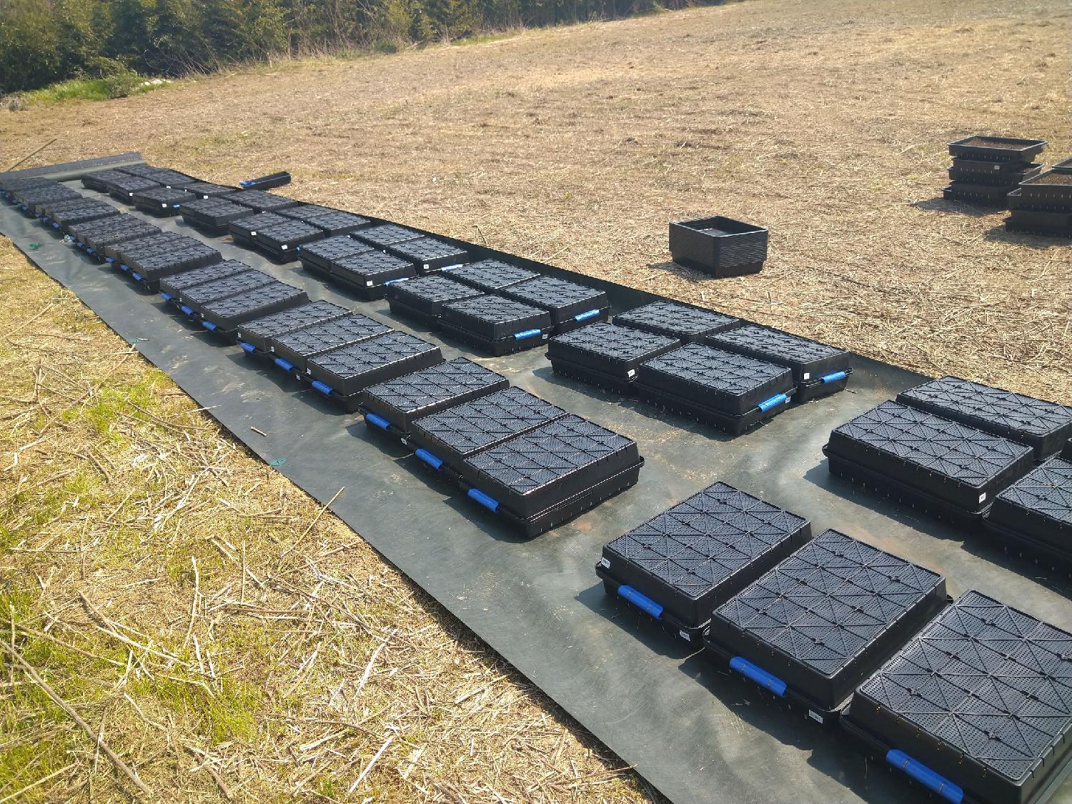 久しぶりのレポート！