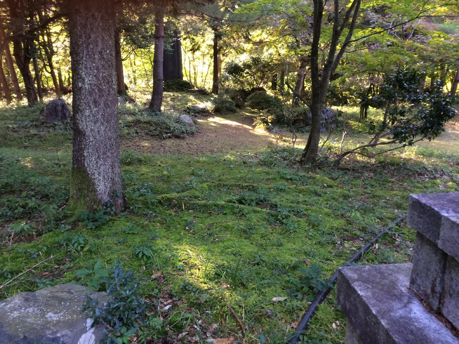 日本苔技術協会、会員として新潟へ２