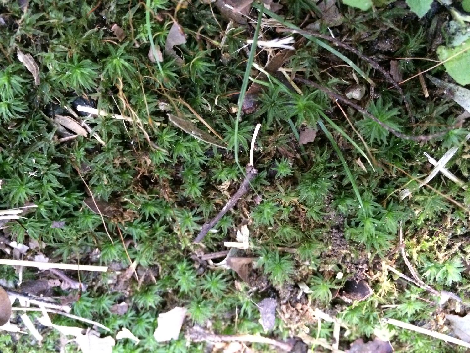 フィールドワーク１