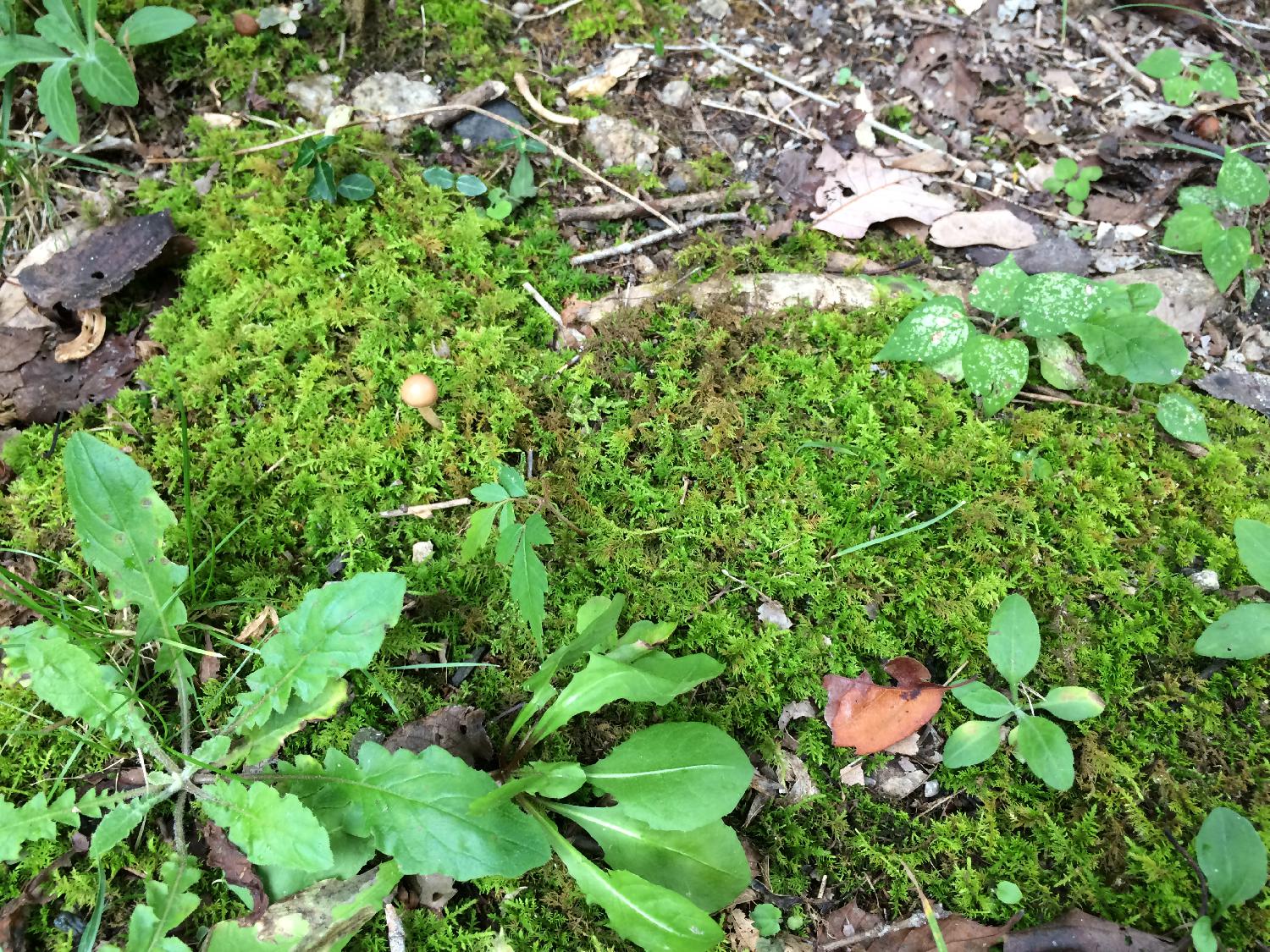 フィールドワーク２