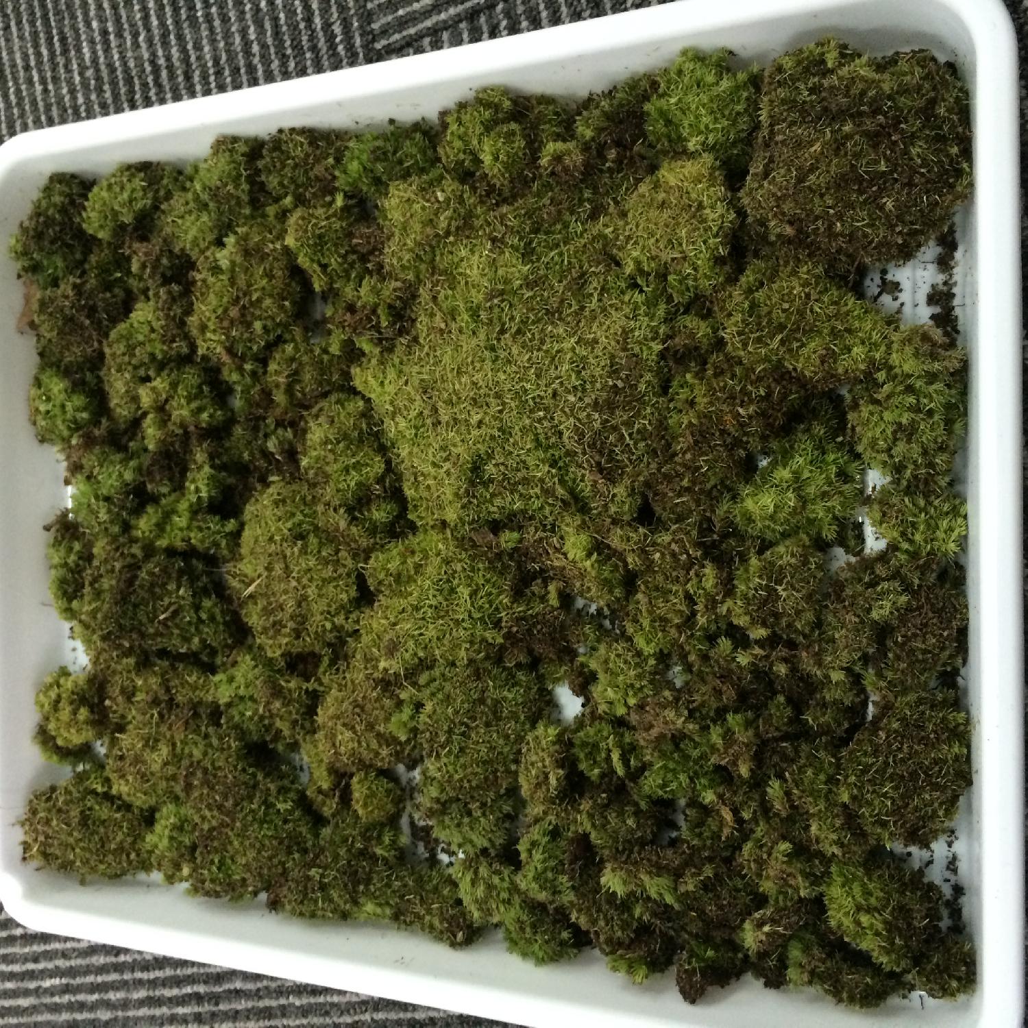 フィールドワーク３