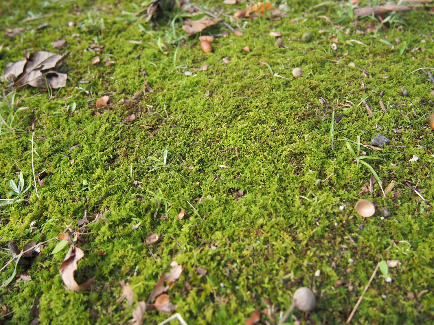 フィールドワーク４