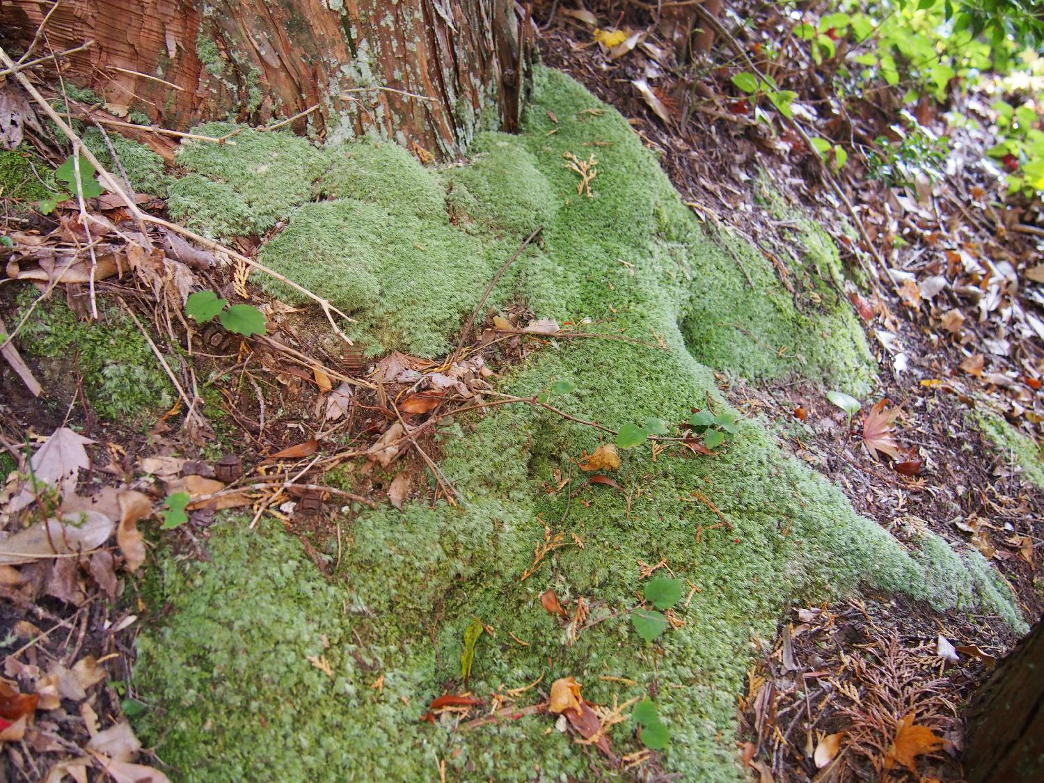 フィールドワーク５