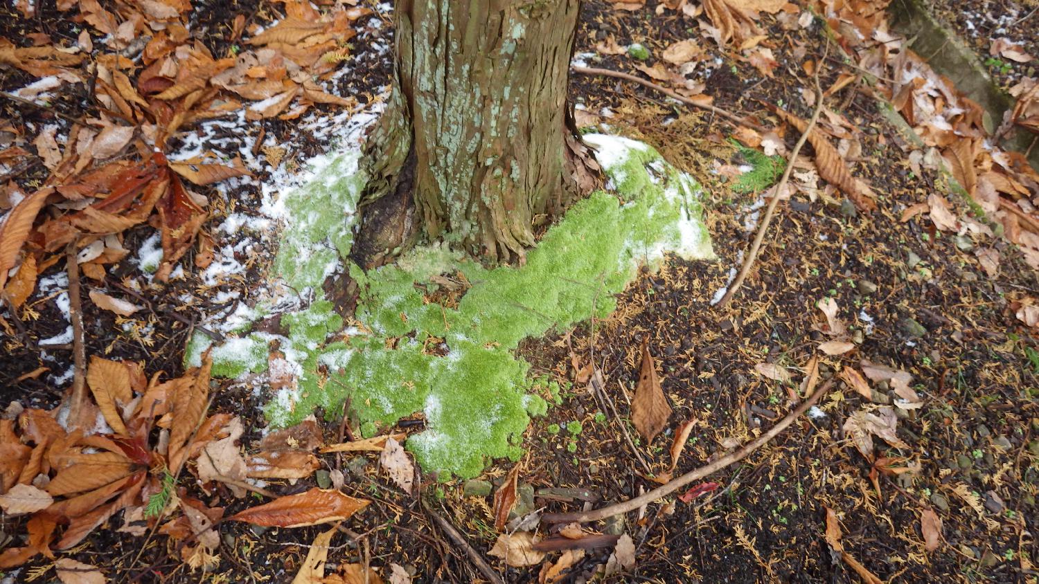 フィールドワーク６