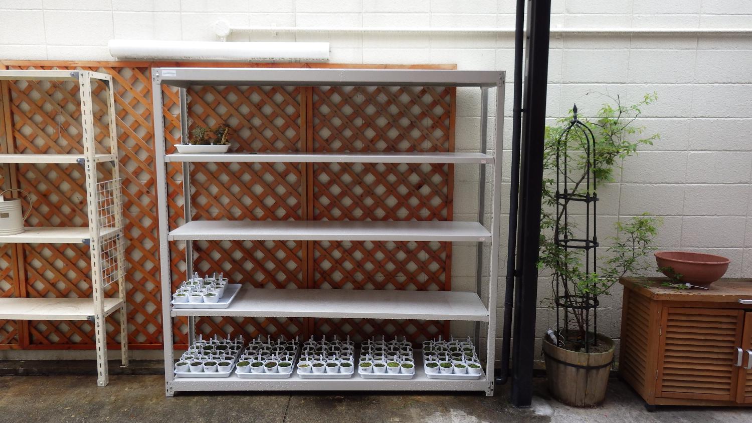 サンプルポットの保存