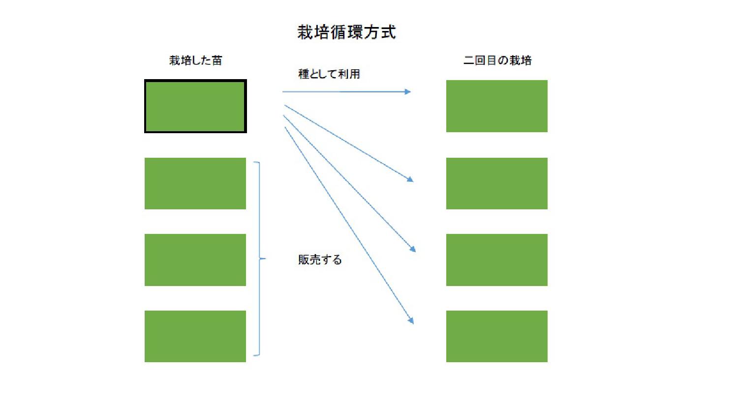 栽培計画と循環生産方式