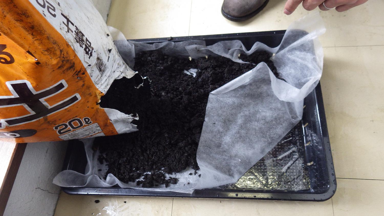 苔栽培の必要資材