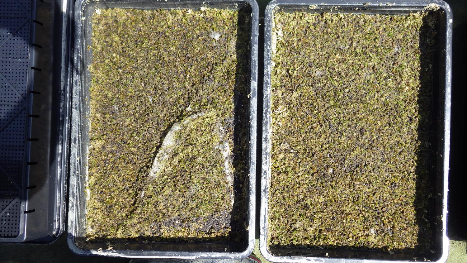 大雨による被害