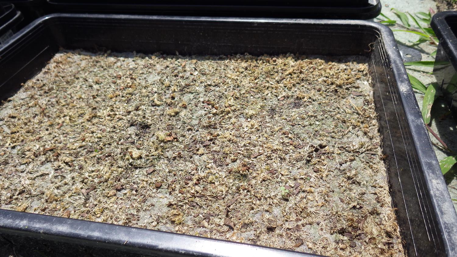 栽培作業の改良