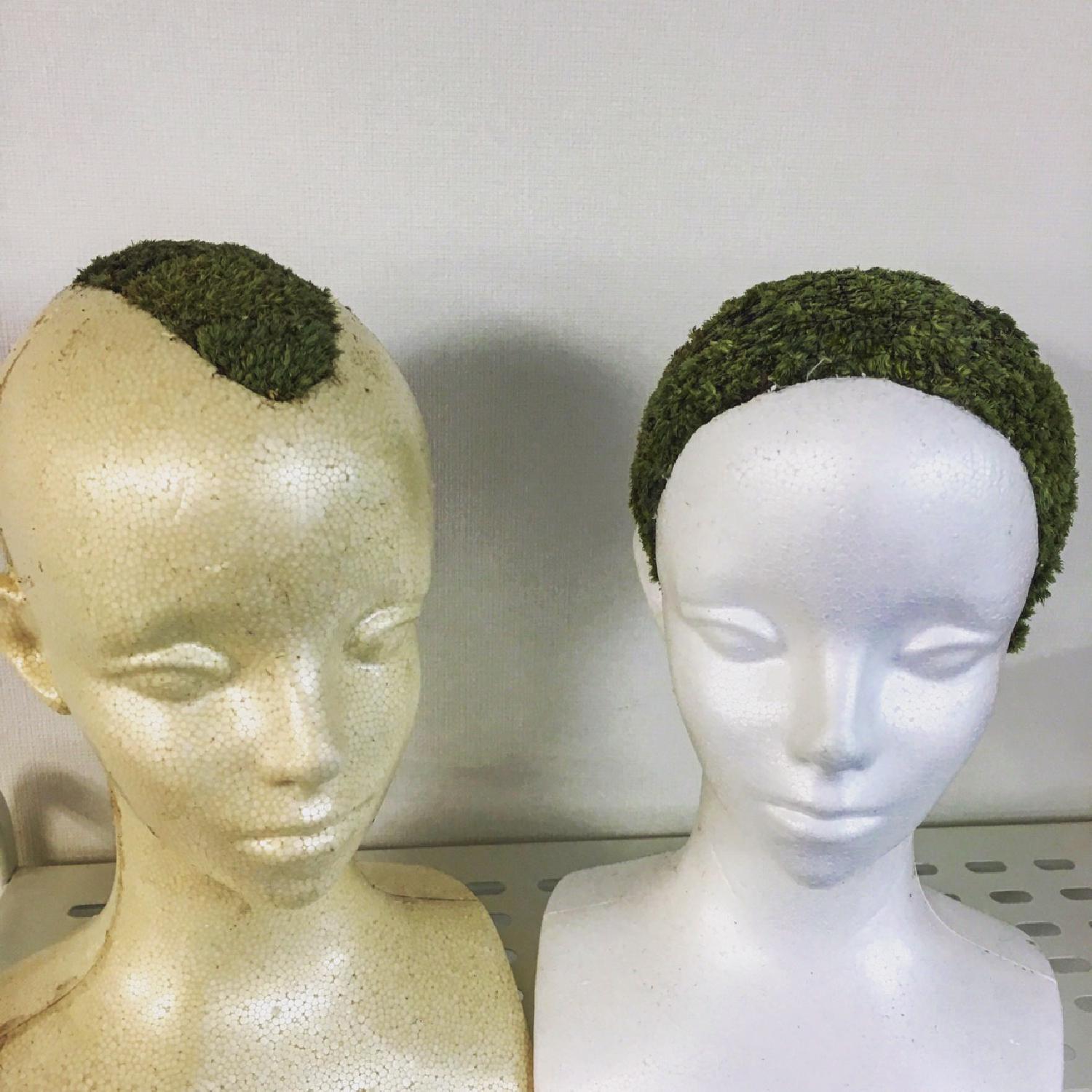 栽培事業所探し