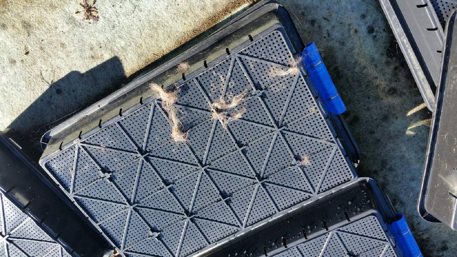 年末最後に大暴れ