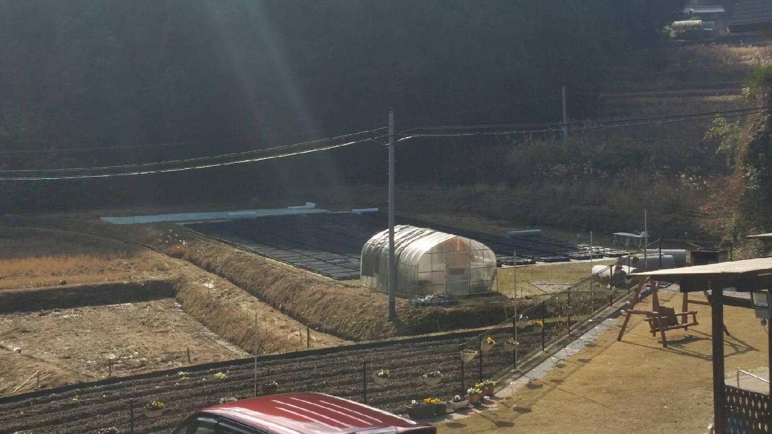 あけましておめでとうございます。