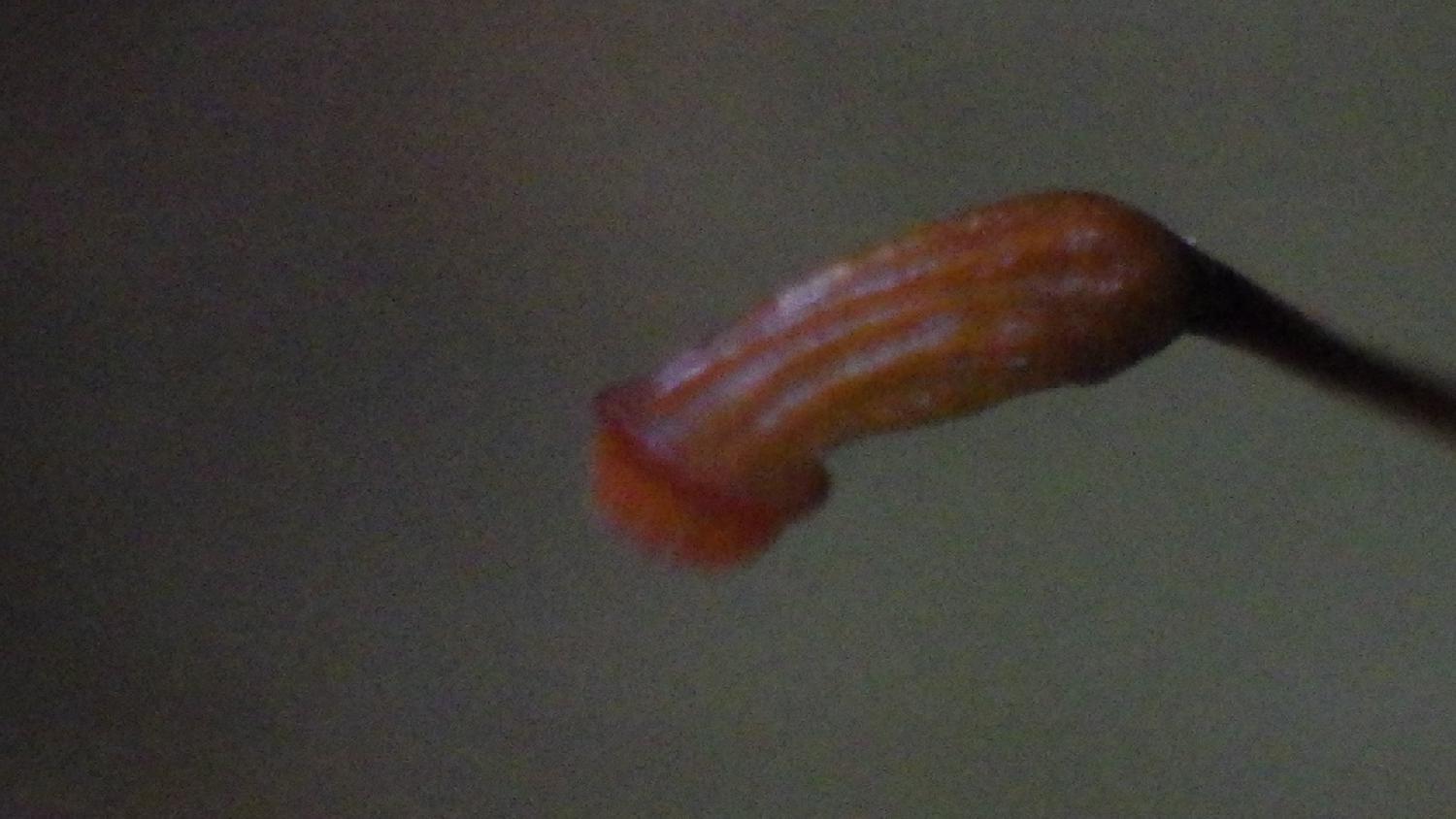 苔の販売の問い合わせ