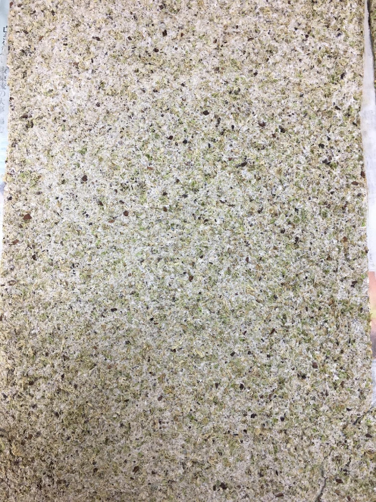 特許申請をかけて新潟へ