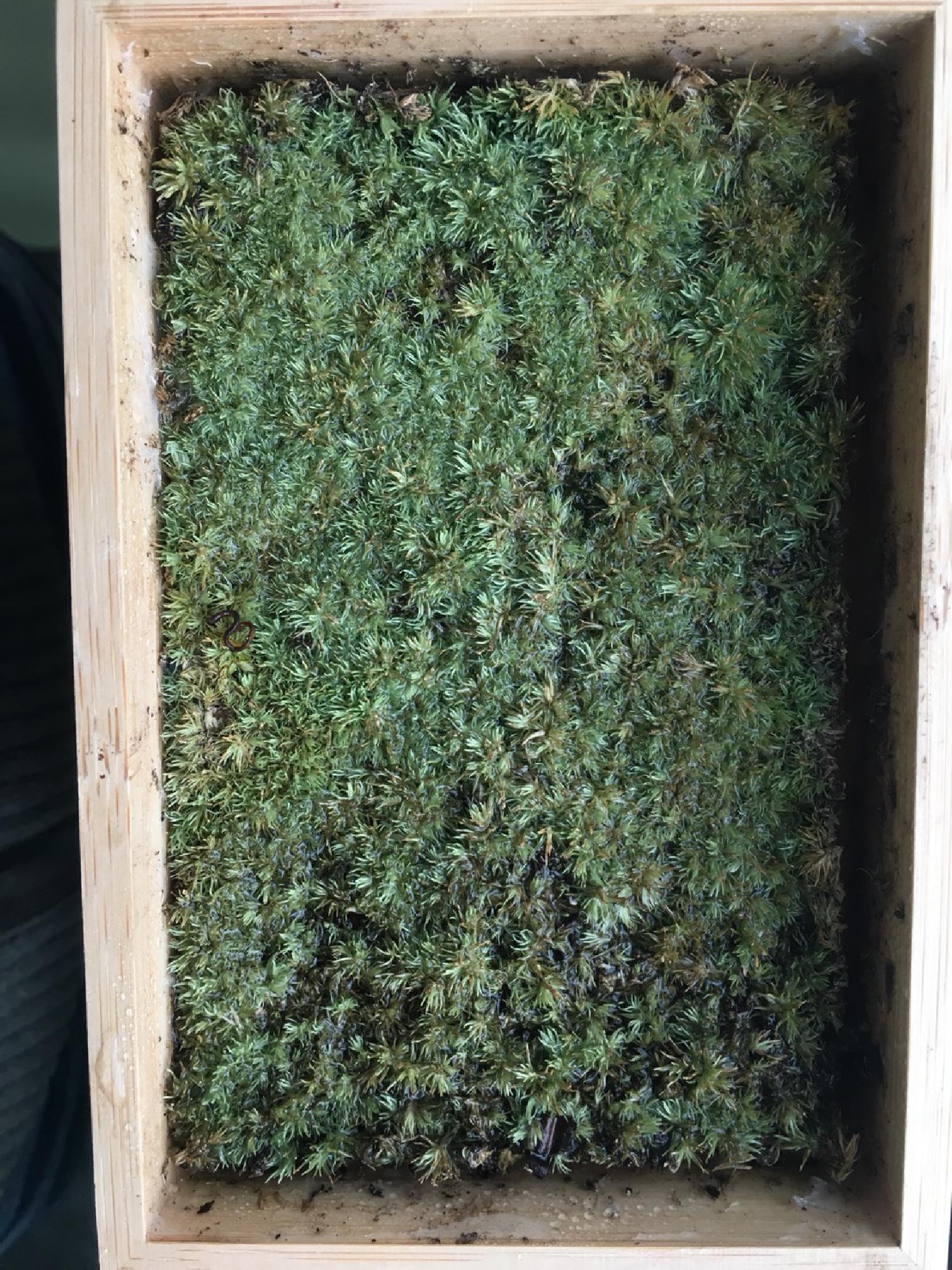 新年明けましておめでとうございます。