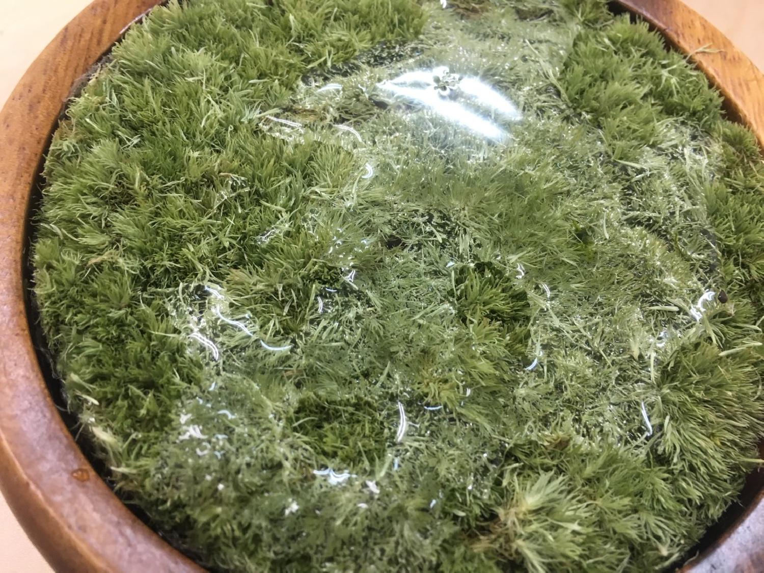 新年の記事にひきつづき