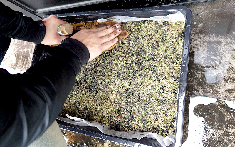 栽培を始めよう